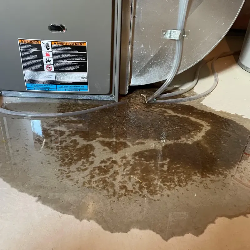 Appliance Leak Cleanup in Silver Lake, KS