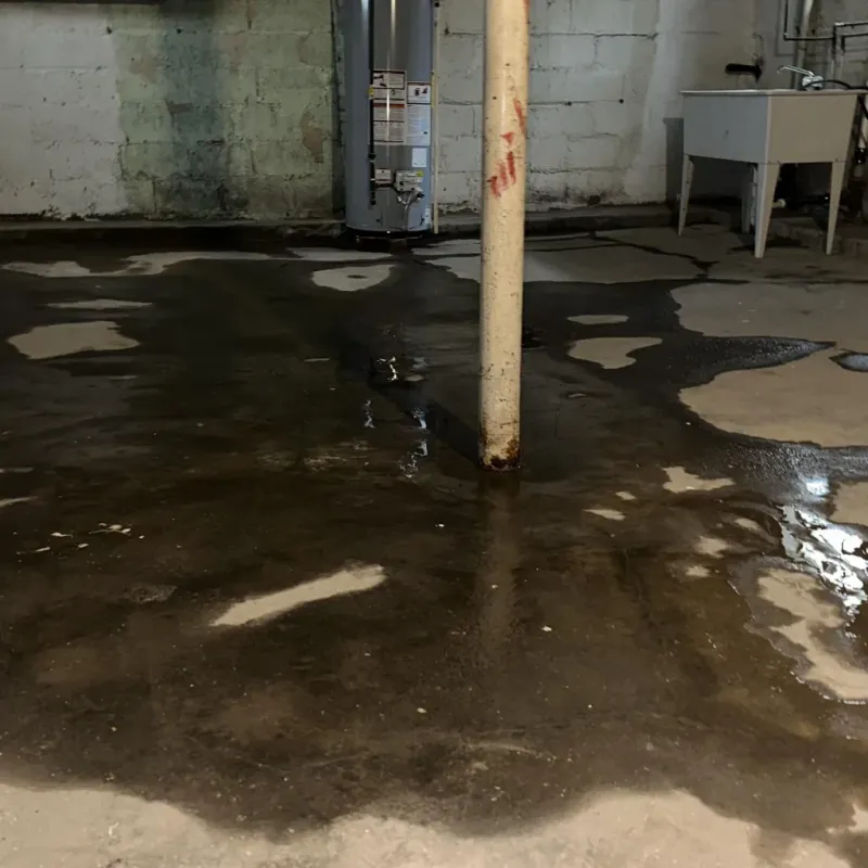 Emergency Water Extraction And Removal in Silver Lake, KS